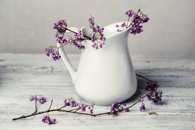 Stilllife With Purple Berries