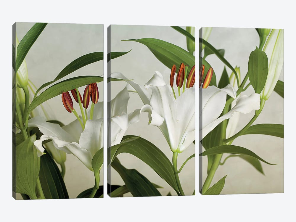 White Lilies by Nailia Schwarz 3-piece Art Print