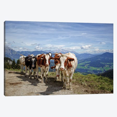 They Are Coming Canvas Print #NSZ115} by Nailia Schwarz Canvas Print