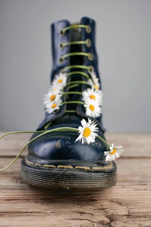 Daisy And A Boot