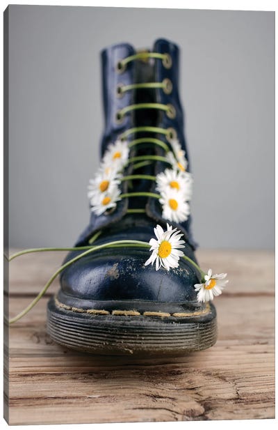 Daisy And A Boot Canvas Art Print - Boots