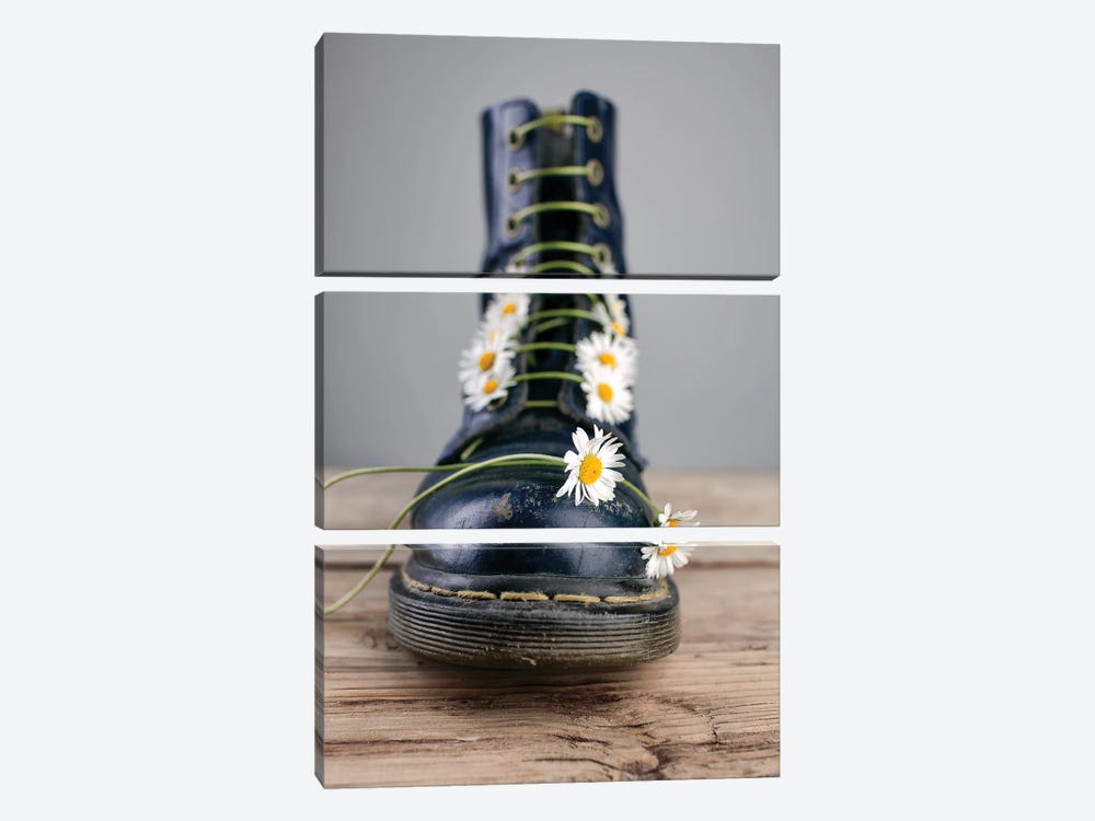 Daisy And A Boot by Nailia Schwarz 3-piece Canvas Art Print