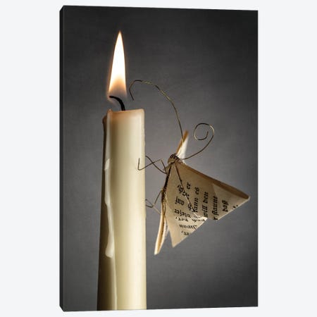 A Paper Moth By The Fire Canvas Print #NSZ139} by Nailia Schwarz Canvas Art