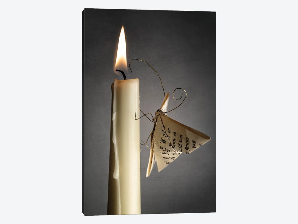 A Paper Moth By The Fire by Nailia Schwarz 1-piece Art Print