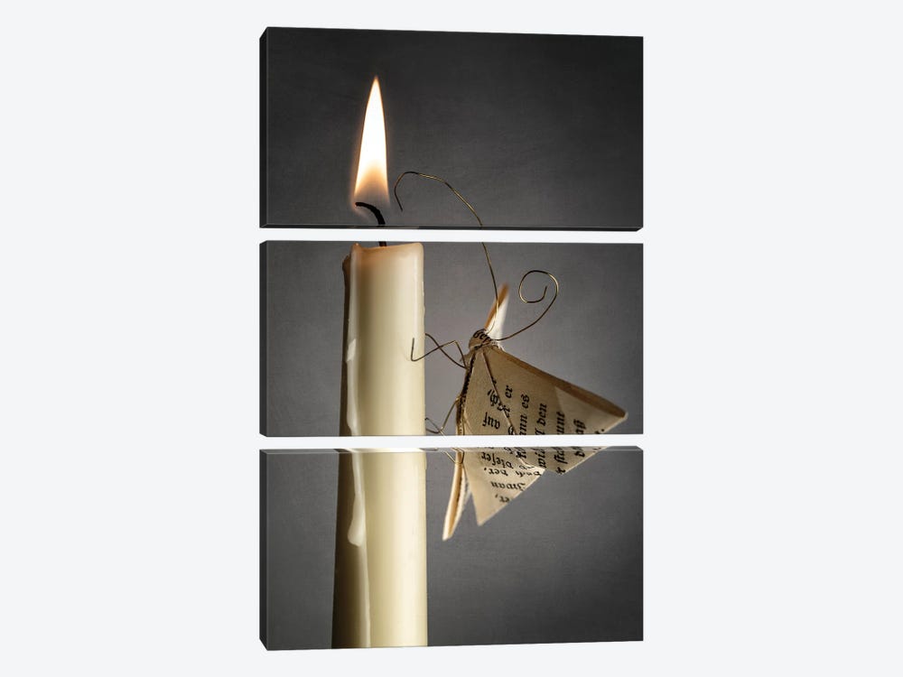 A Paper Moth By The Fire by Nailia Schwarz 3-piece Canvas Art Print