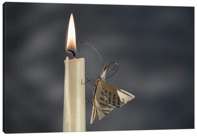 A Paper Moth By The Fire II Canvas Art Print - Nailia Schwarz