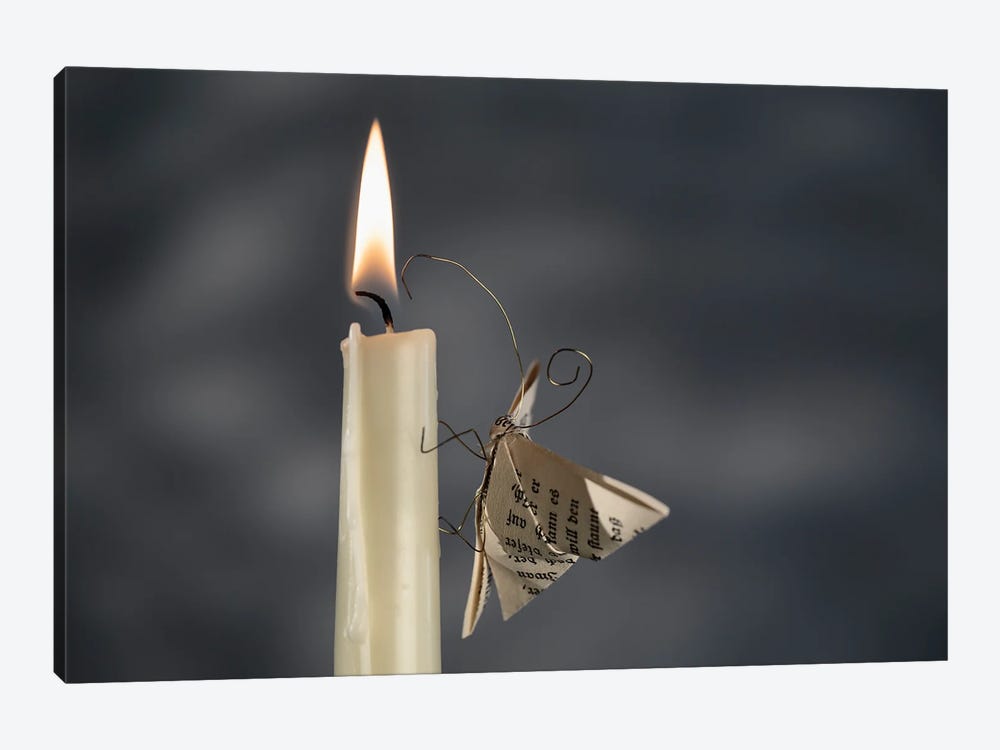 A Paper Moth By The Fire II by Nailia Schwarz 1-piece Canvas Art