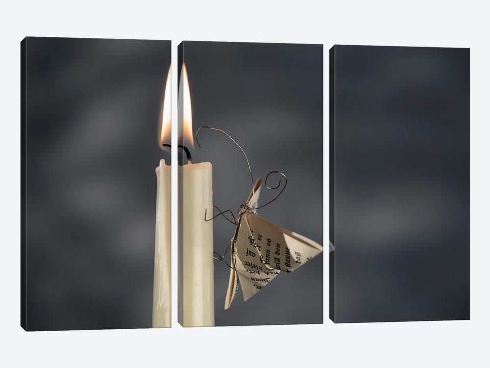 A Paper Moth By The Fire II by Nailia Schwarz 3-piece Canvas Art