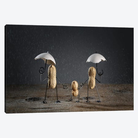 Rainy Day Canvas Print #NSZ143} by Nailia Schwarz Canvas Print