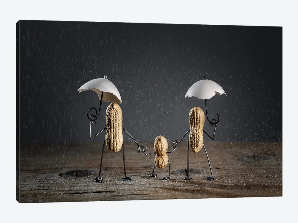 Rainy Day by Nailia Schwarz 1-piece Canvas Artwork