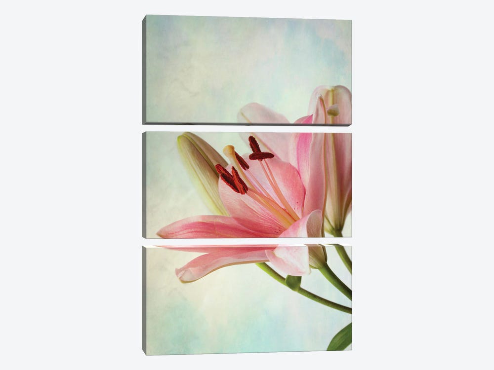 Pink Lily On Blue Background by Nailia Schwarz 3-piece Canvas Artwork