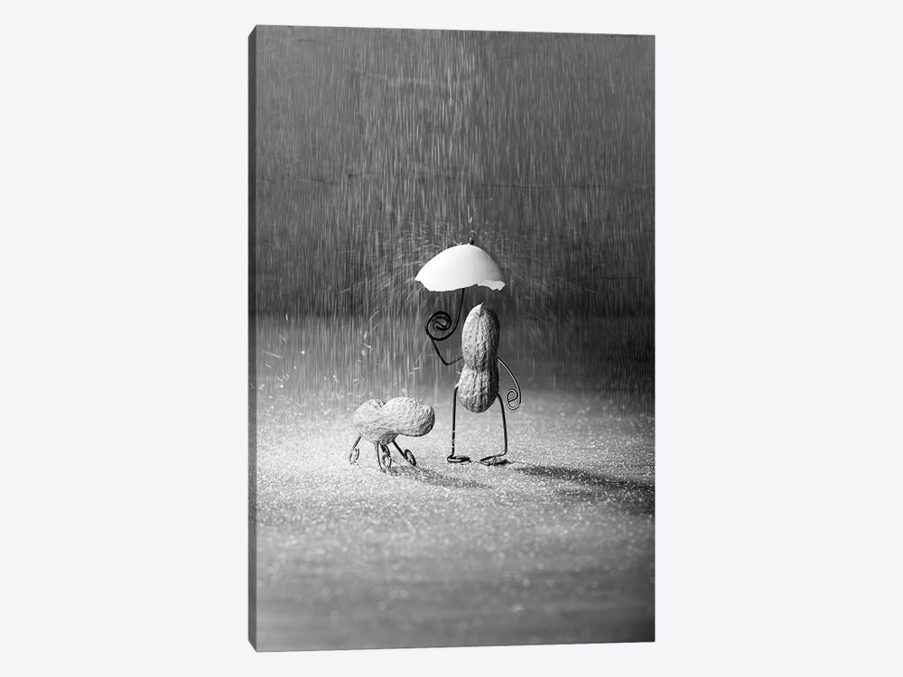 Simple Things, Rainy Day by Nailia Schwarz 1-piece Art Print