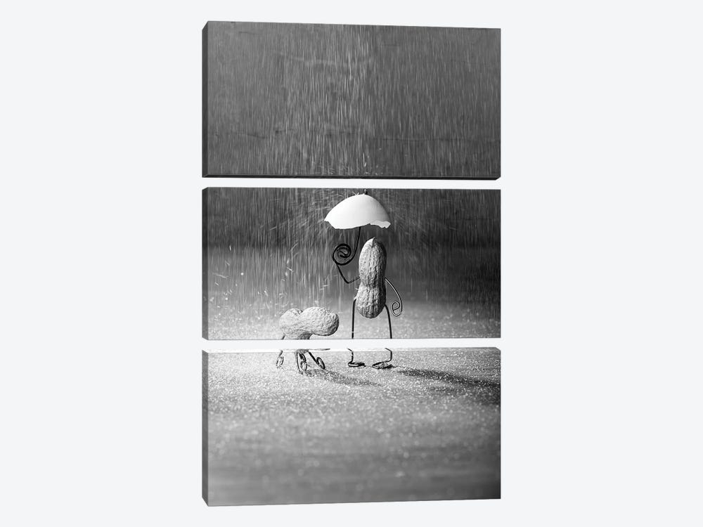 Simple Things, Rainy Day by Nailia Schwarz 3-piece Canvas Print