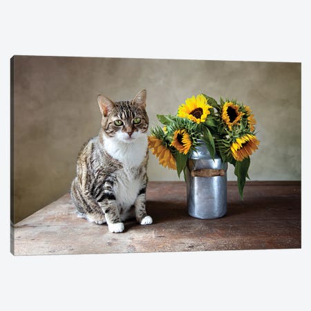 Still Life With Cat And Sunflower Canvas Print #NSZ171} by Nailia Schwarz Canvas Artwork
