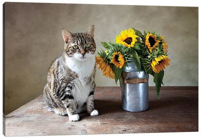 Still Life With Cat And Sunflower Canvas Art Print - Nailia Schwarz