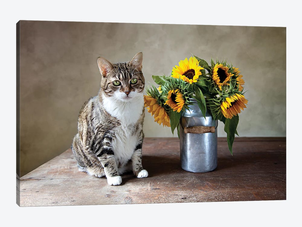 Still Life With Cat And Sunflower by Nailia Schwarz 1-piece Canvas Print