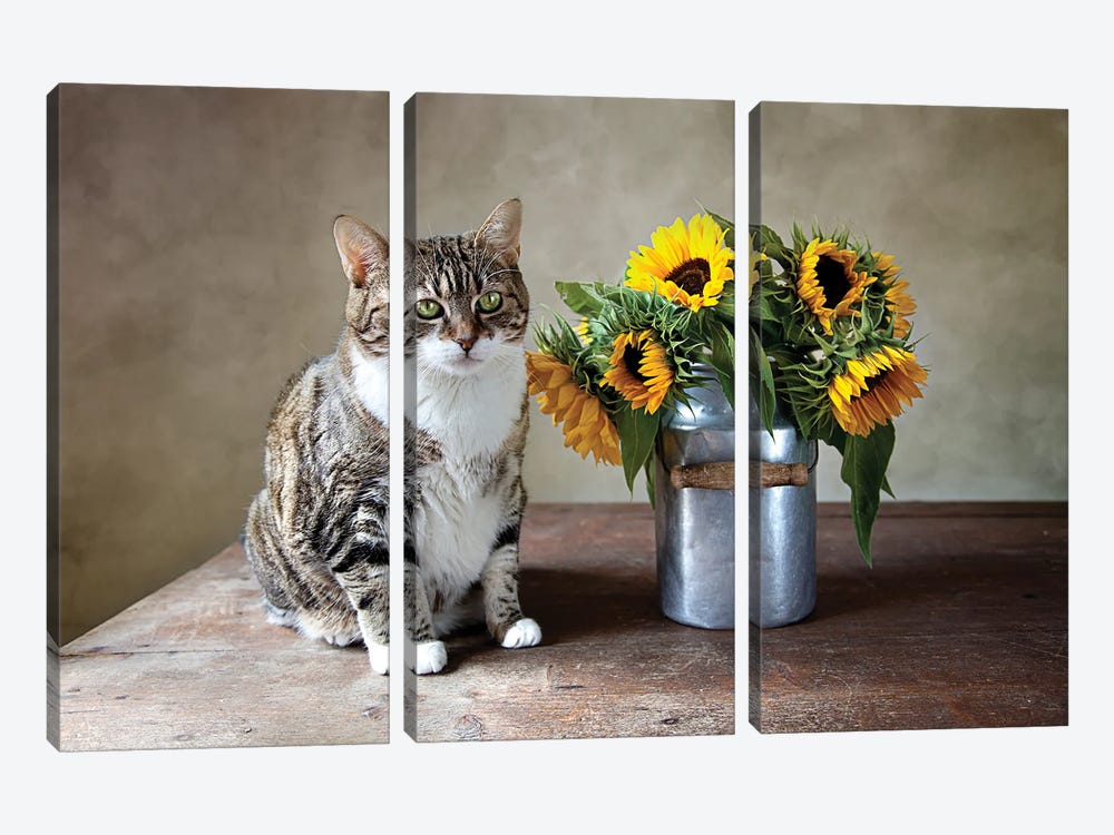Still Life With Cat And Sunflower by Nailia Schwarz 3-piece Art Print