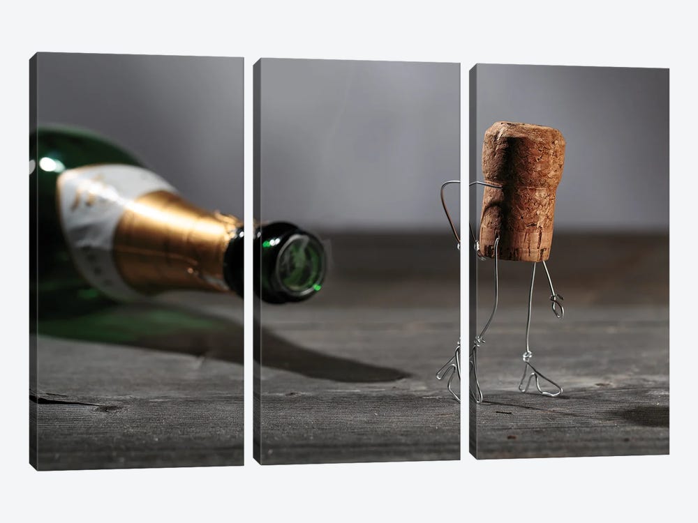 Simple Things, Champagne by Nailia Schwarz 3-piece Canvas Artwork