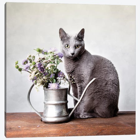 Still Life With Russian Blue Cat And Watering Can Canvas Print #NSZ38} by Nailia Schwarz Canvas Artwork