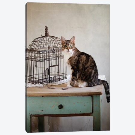 Cat And Cage Canvas Print #NSZ42} by Nailia Schwarz Canvas Art Print