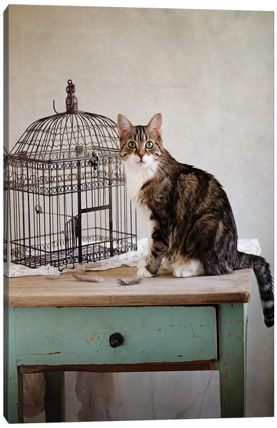 Cat And Cage Canvas Art Print - Nailia Schwarz