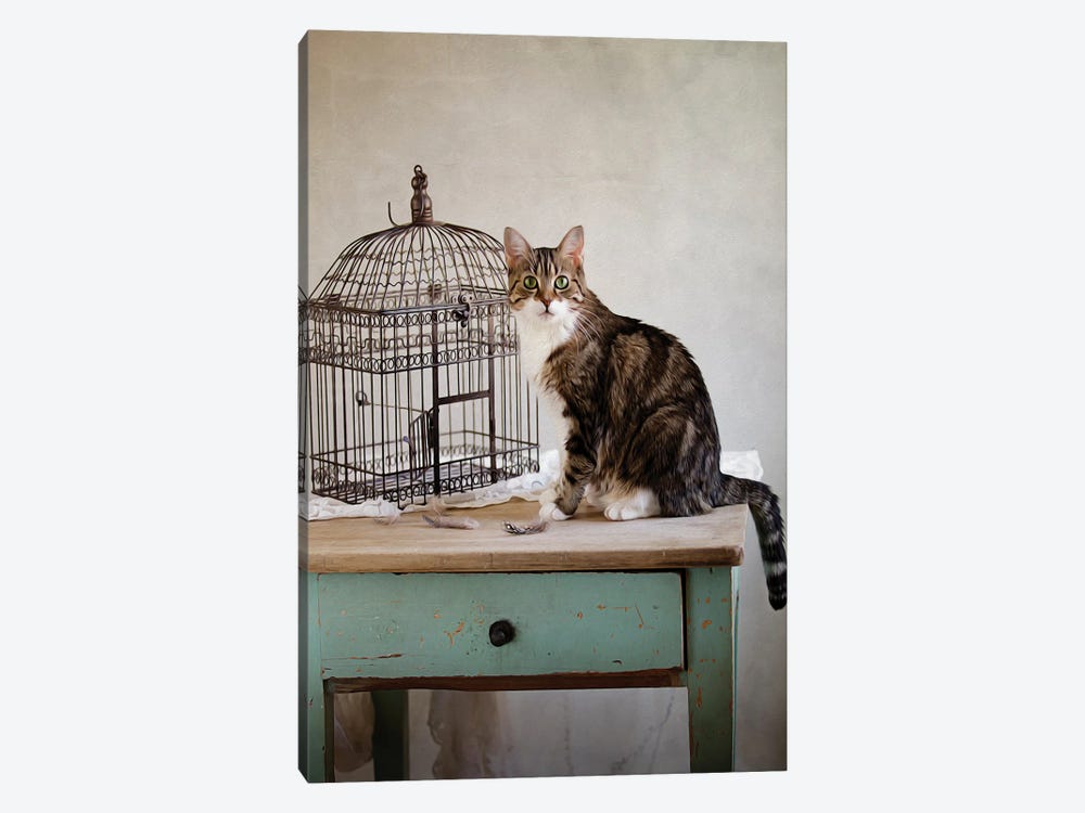Cat And Cage by Nailia Schwarz 1-piece Canvas Wall Art