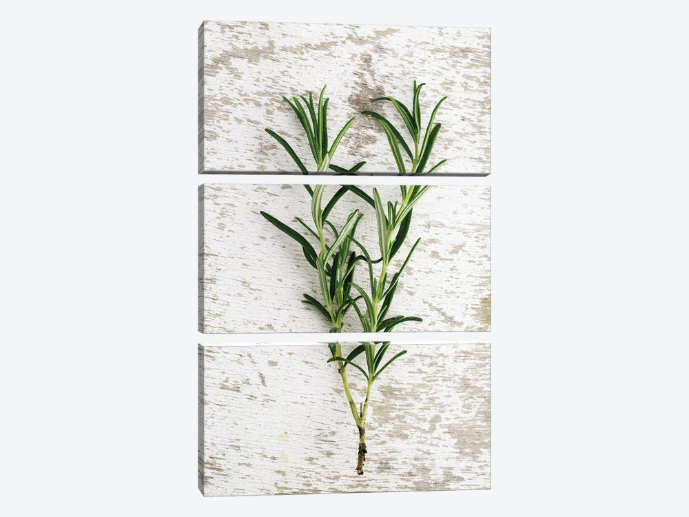 Herbs, Rosemary by Nailia Schwarz 3-piece Canvas Print