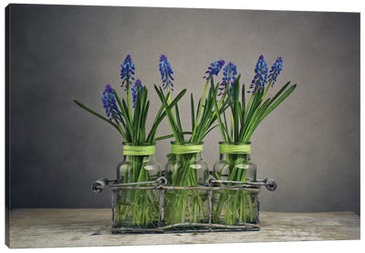 Still-Life With Blue Flowers Canvas Art Print - Lavender Art