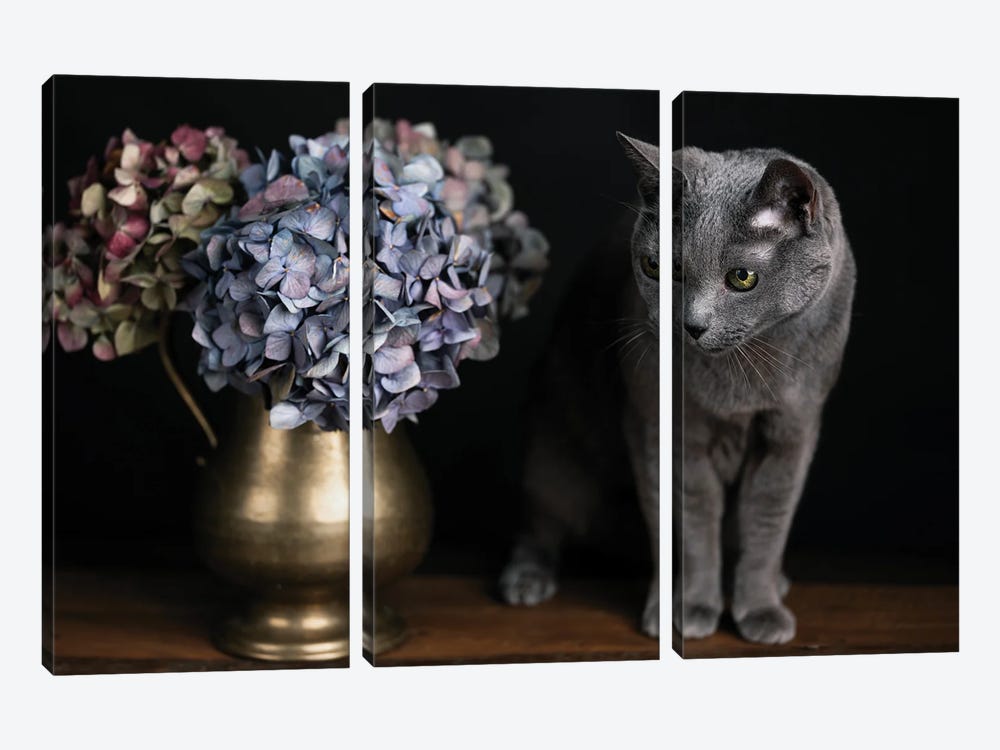 Still Life With A Cat And Hydrangea by Nailia Schwarz 3-piece Canvas Artwork