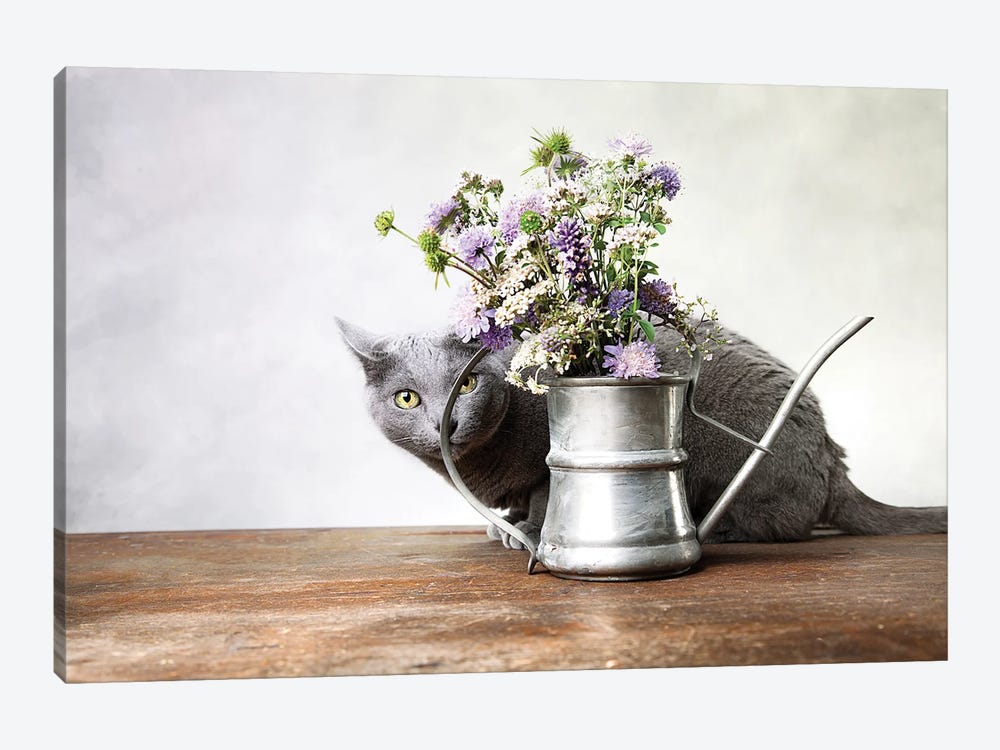 Still Life With Russian Blue Cat by Nailia Schwarz 1-piece Canvas Art