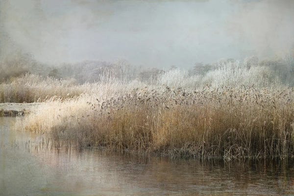 Wintermorning
