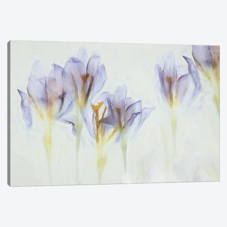 Spring Canvas Print #NTA3} by Nel Talen Art Print