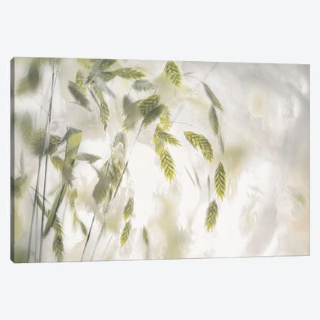 Grass Blades Canvas Print #NTA4} by Nel Talen Canvas Artwork