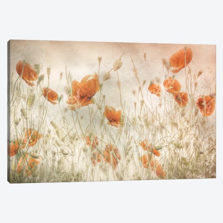 Poppies In The Field Canvas Print #NTA6} by Nel Talen Canvas Art