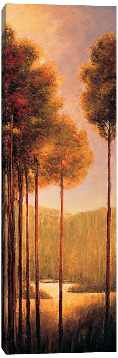 Through The Woods III Canvas Art Print