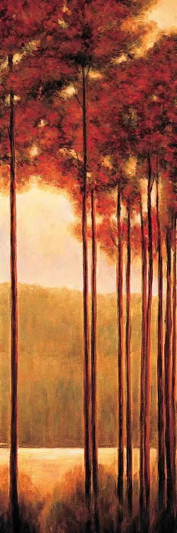 Through the Woods II by Neil Thomas wall art
