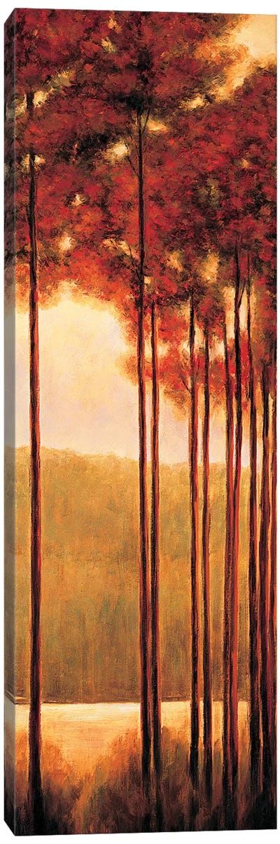 Through the Woods II Canvas Art Print