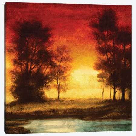 Evening Light II Canvas Print #NTH6} by Neil Thomas Art Print