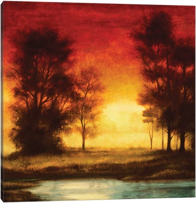 Evening Light II Canvas Art Print