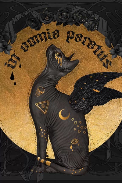 Hairless Cats: In Omnia Paratus by Natalie Shau