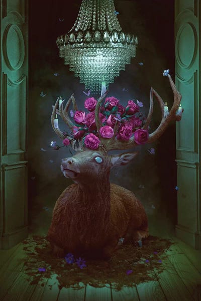 Natalie Shau: Nightfall by Natalie Shau