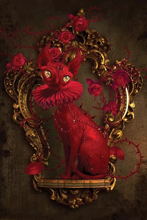 Oscar by Natalie Shau wall art