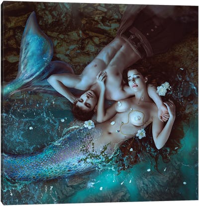 The Last Mermaid Canvas Art Print - Bathroom Nudes Art