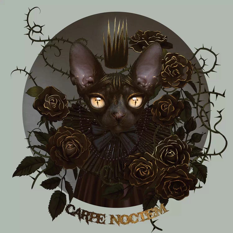 Carpe Noctem