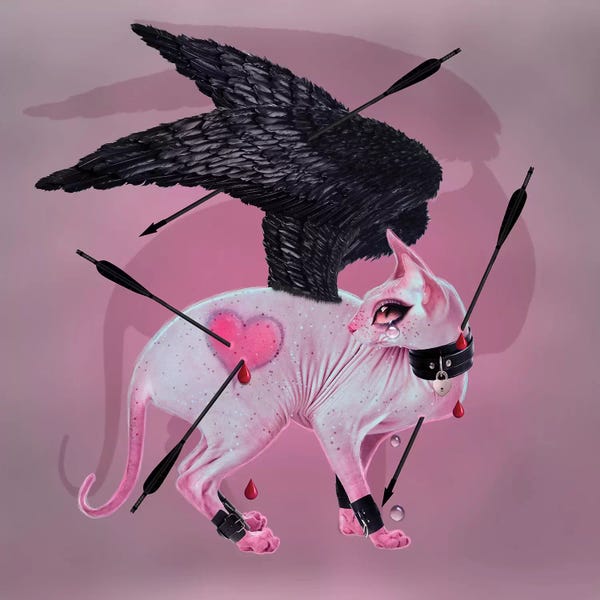 Arrows: Catnovember by Natalie Shau