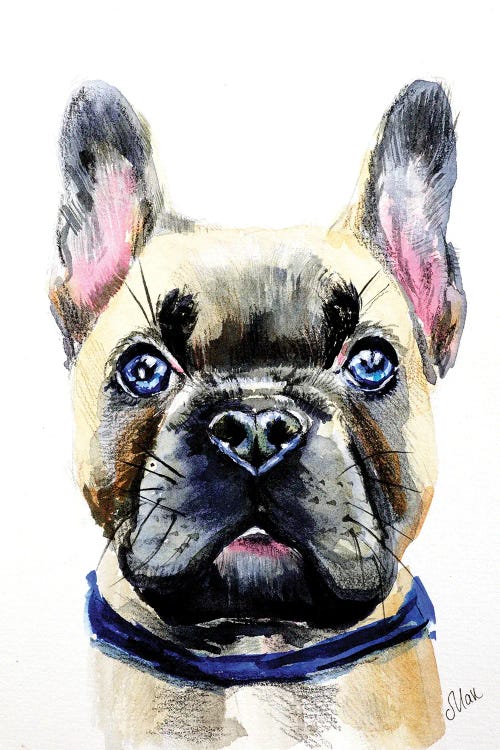 French Bulldog