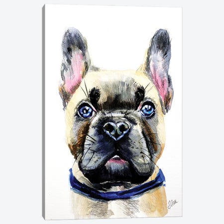 French Bulldog Canvas Print #NTM100} by Nataly Mak Canvas Print
