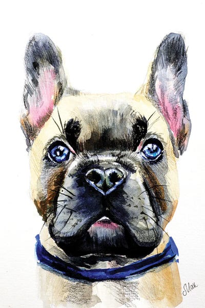 Nataly Mak: French Bulldog by Nataly Mak