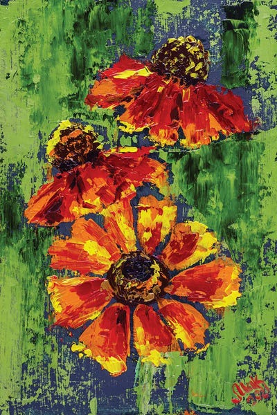 Gaillardia by Nataly Mak canvas print