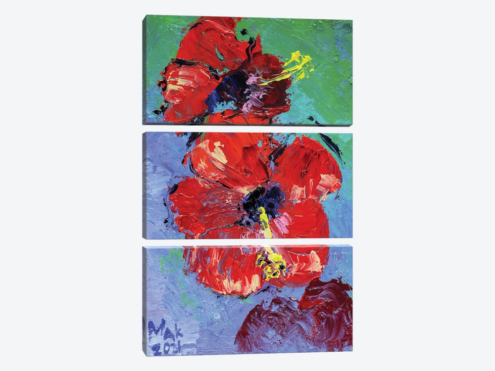Two Hibiscus by Nataly Mak 3-piece Canvas Art